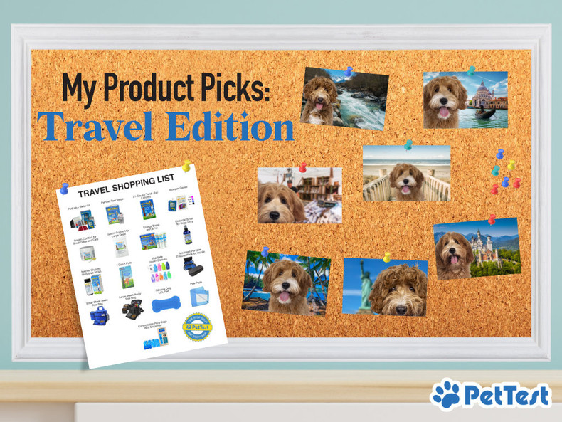 My Product Picks: Travel Edition