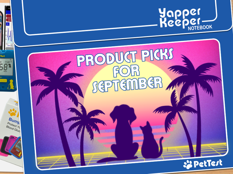 ​Product Picks for September 2024