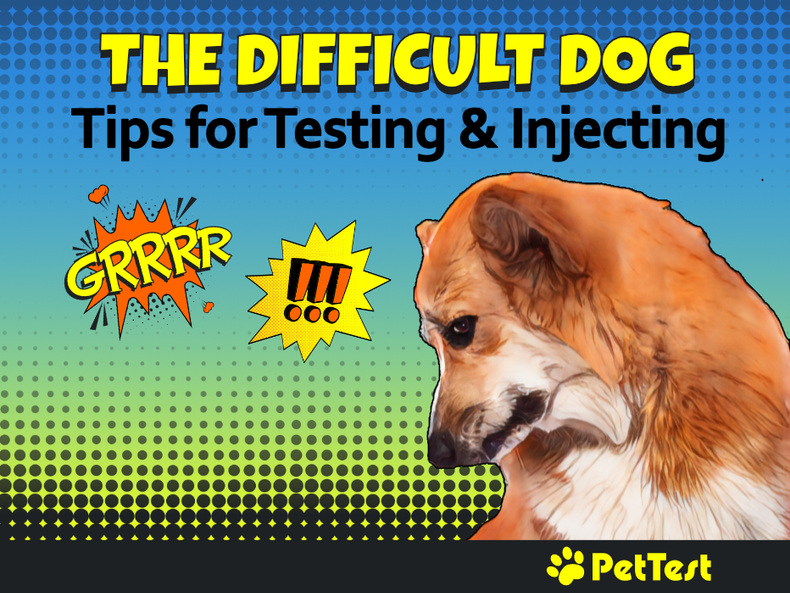 ​The Difficult Dog – Tips on Testing & Injecting