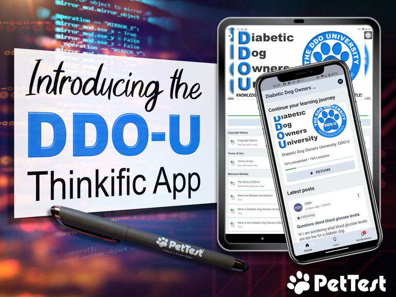 Introducing the DDO-U Thinkific App