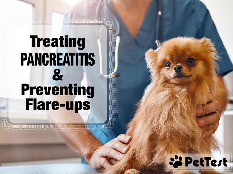 Treating Pancreatitis and Preventing Flare-ups