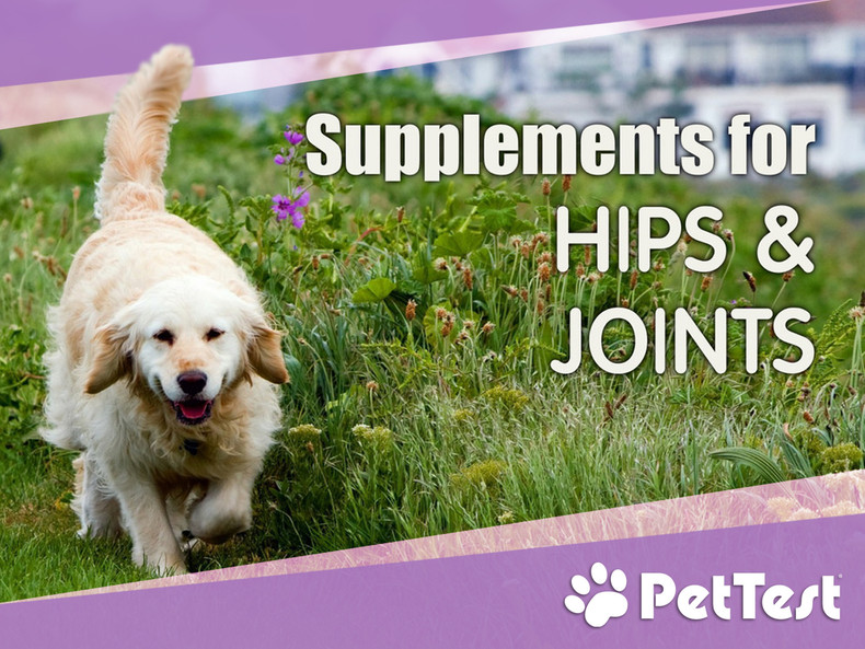 Supplements for Hips & Joints