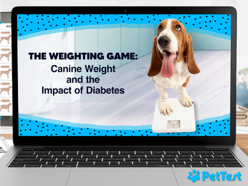 The Weighting Game: Canine Weight and the Impact of Diabetes