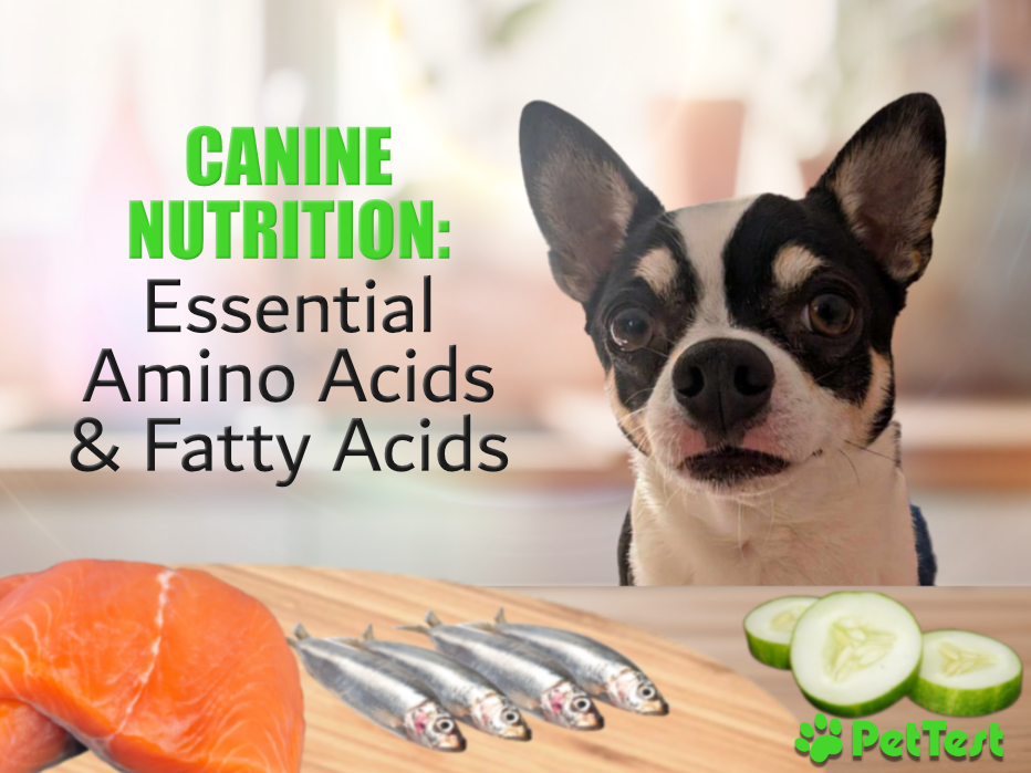 Canine Nutrition: Essential Amino Acids and Fatty Acids - PetTest Canada - Canine Nutrition With Phytosterols