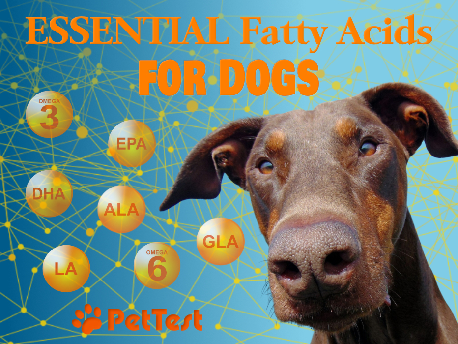 Essential Fatty Acids for Dogs PetTest Canada