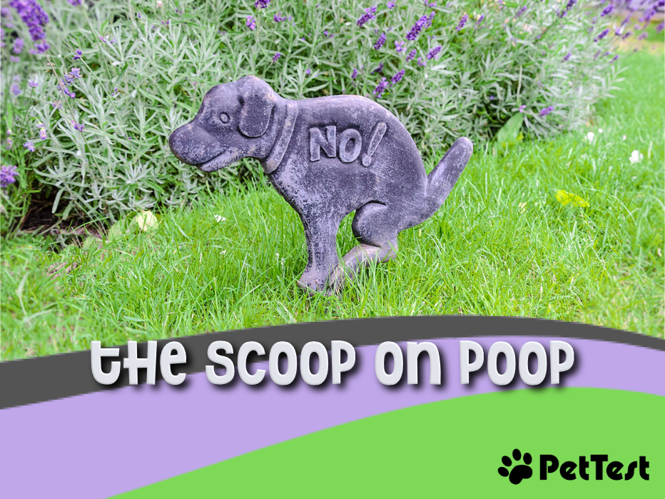 Scop Poop The Scoop on Poop - PetTest Canada