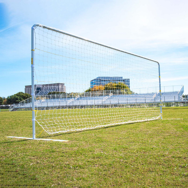 Flat Faced Training Goal