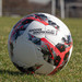 soccer ball for training - NFHS