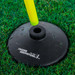 Agility training poles with heavy rubber bases for stable use on turf or hard surfaces