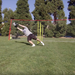 Turf Speed Pole | Speed and Agility Soccer Training Equipment