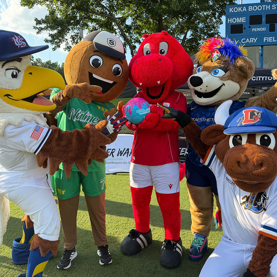 TST Mascots with Drip Ball