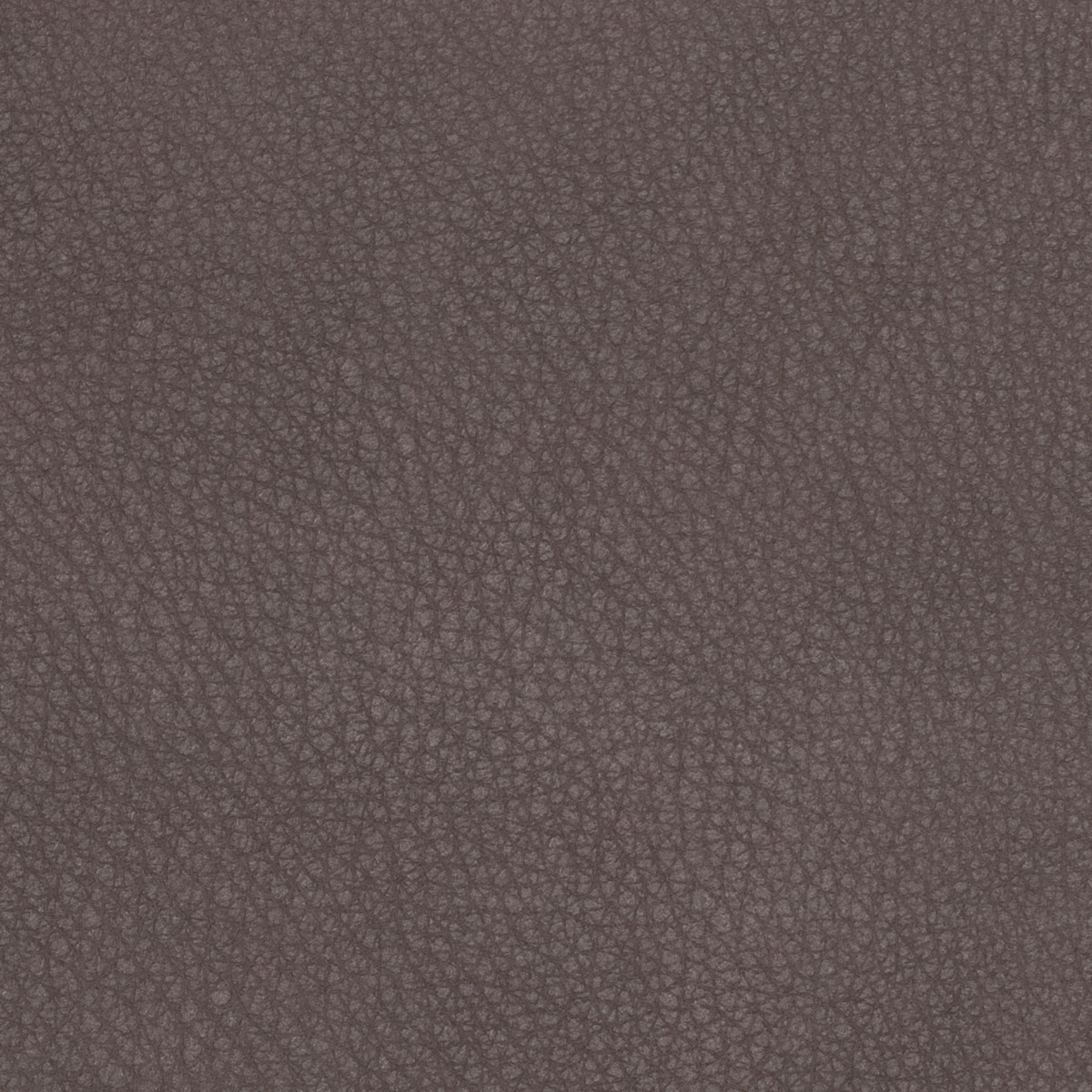 Explore our Leather Selection and Order Swatches