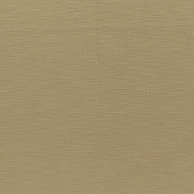 canyon wheat