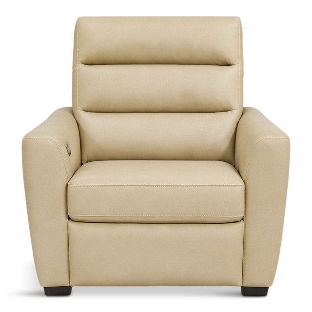 Napa recliner front 