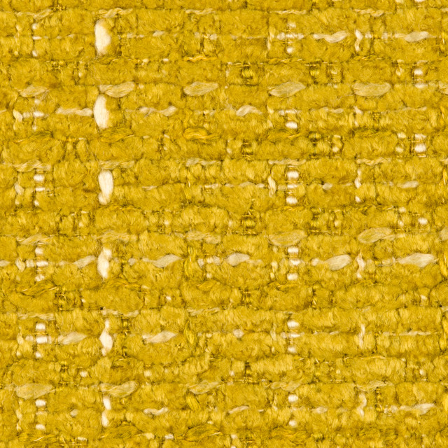aster lemon aster lemon