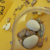 A plastic hand lens magnified on a pile of seeds.