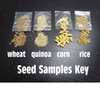Four piles of the seeds included in the kit.
