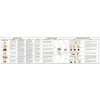 Informational flowchart on nuts.
