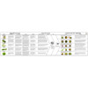 Informational flowchart about vegetables.