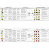 Informational flowchart about vegetables.