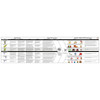 An informational flowchart with text and images about natural and artificial sweeteners