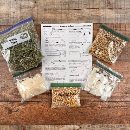 All supplies included in the kit on display.