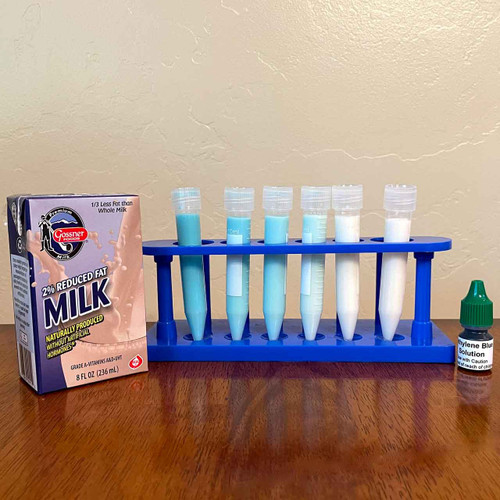 All the supplies included in the kit on display.