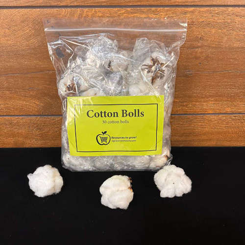 The front of the cotton bolls kit.