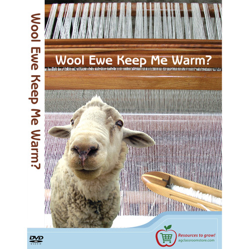 wool_ewe