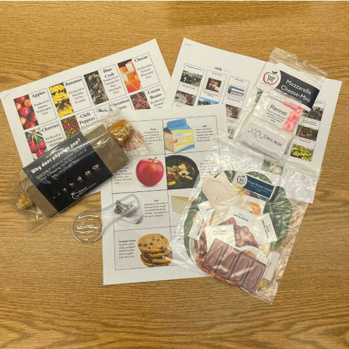 All the supplies included in the kit on display.