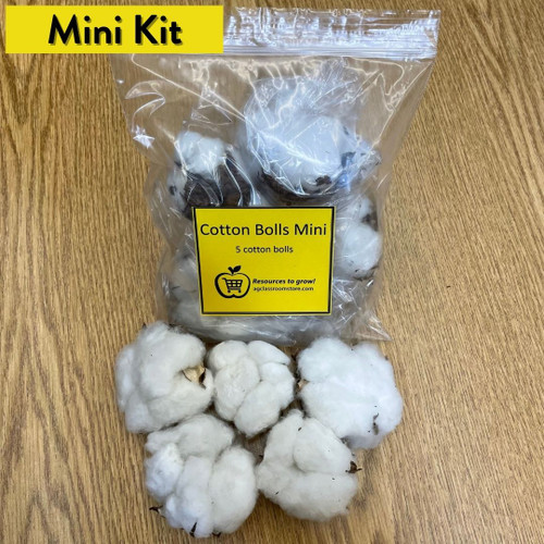 cotton boll mini kit with cotton bolls in front