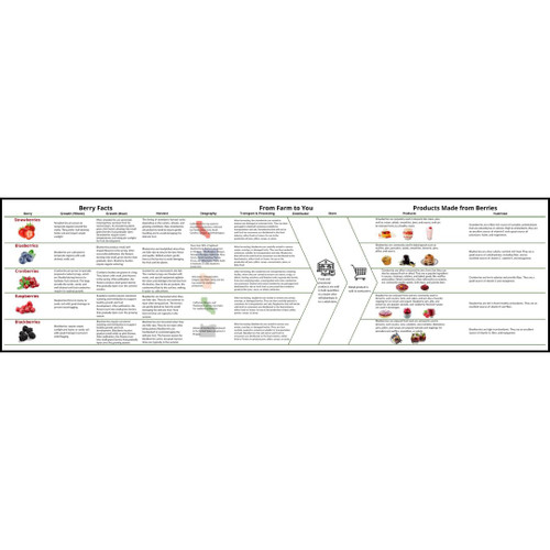 Informational flowchart about berries Informational flowchart about berries