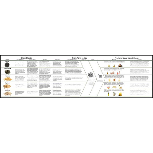 Informational flowchart about oilseeds.