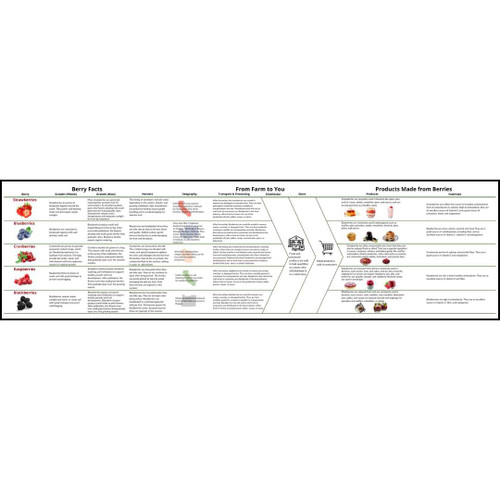 Informational flowchart on berries