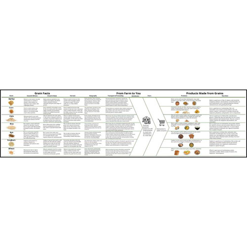 Informational flowchart on grains.