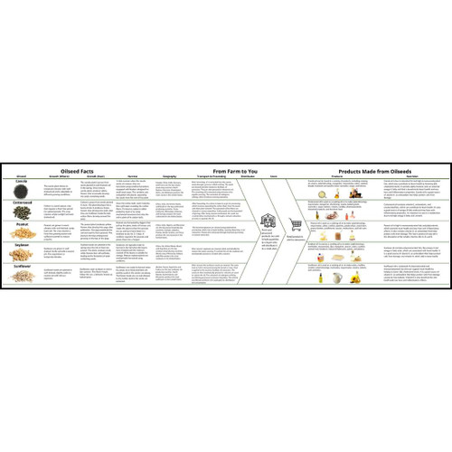 Informational flowchart on oilseeds.