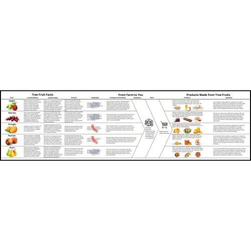 Informational flowchart on tree fruits.