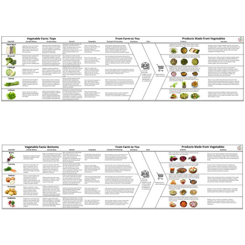 Informational flowchart about vegetables.