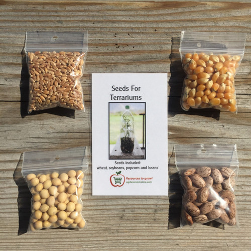 Seeds for Terrariums AgClassroomStore at USU
