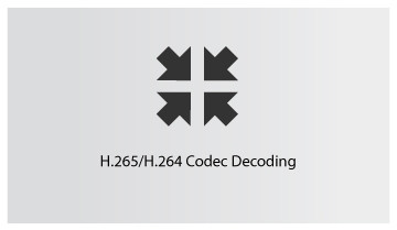 H.265 ICON