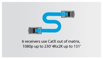 CatX 131 ICON