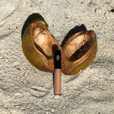 In The Buff  nude custom lip gloss cruelty-free sulfate-free cocounut shell  Dawes Custom Cosmetics