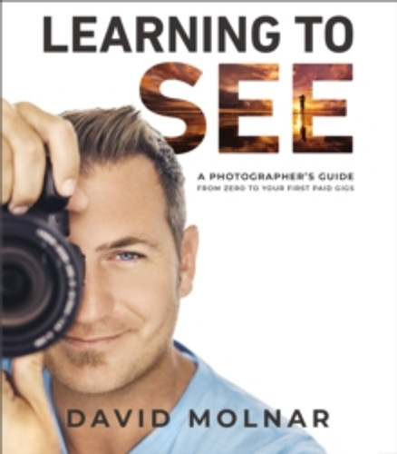 Learning to See 9780785253662 Hardback Learning to See 9780785253662 Hardback