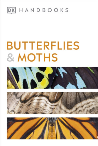 Butterflies and Moths 9780241600993 Paperback