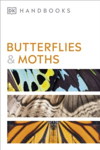 Butterflies and Moths 9780241600993 Paperback Butterflies and Moths 9780241600993 Paperback