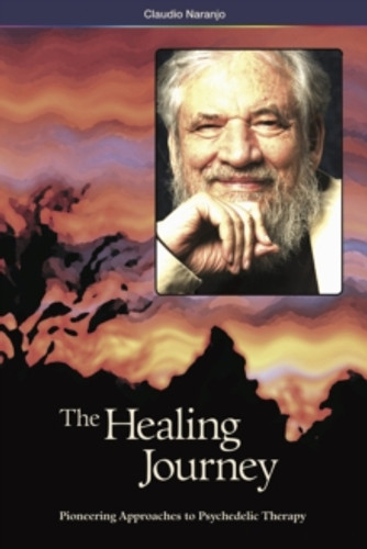 The Healing Journey (2nd Edition) 9780979862281 Paperback The Healing Journey (2nd Edition) 9780979862281 Paperback