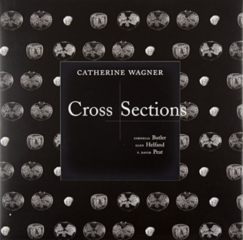 Catherine Wagner 9780938175247 Hardback Catherine Wagner 9780938175247 Hardback