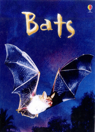 Bats 9780746099650 Hardback Bats 9780746099650 Hardback