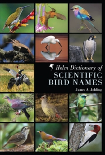 Helm Dictionary of Scientific Bird Names 9781408125014 Hardback Helm Dictionary of Scientific Bird Names 9781408125014 Hardback