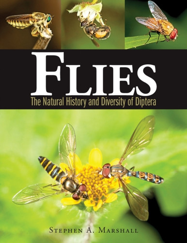 Flies 9781770851009 Hardback Flies 9781770851009 Hardback